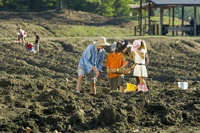 noi nhat kim cuong, vang thoa thich, tim duoc mang ve nha khong ton mot xu hinh anh 5