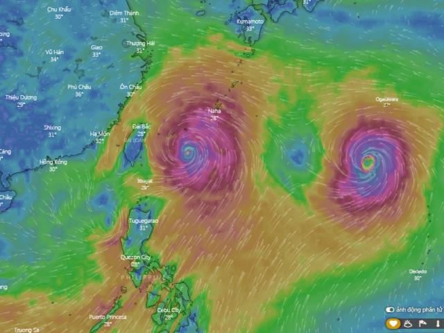 Siêu bão Lekima “nuốt chửng” áp thấp nhiệt đới trên Biển Đông