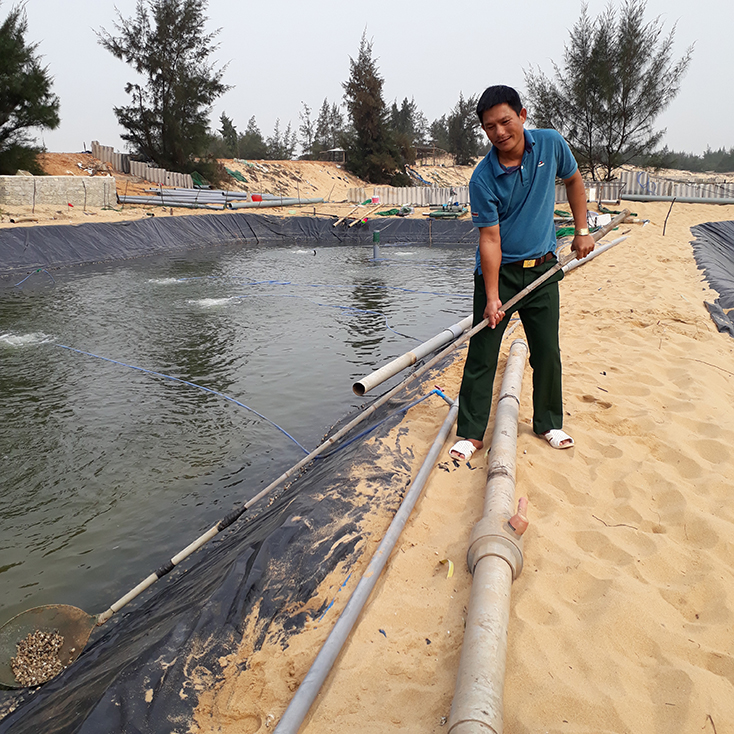 Nuôi tôm thẻ chân trắng đảm bảo ATTP Mô hình phù hợp với các tỉnh ven biển  miền Trung