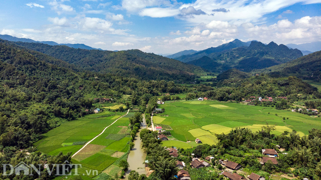 anh: ngo ngang mua lua chin o cao bang nhin tu camera bay hinh anh 9