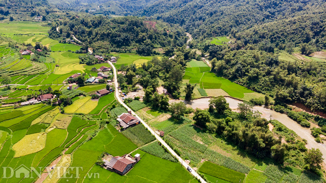 anh: ngo ngang mua lua chin o cao bang nhin tu camera bay hinh anh 7