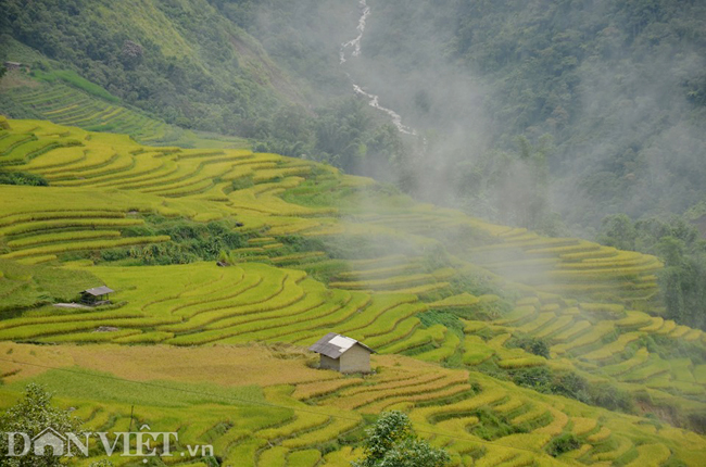 kham pha mua lua chin tuyet dep va binh yen o 