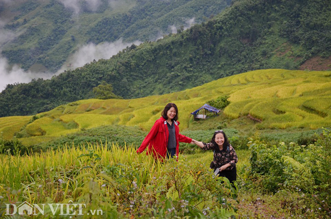 kham pha mua lua chin tuyet dep va binh yen o 