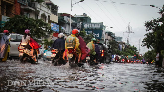 ha noi sang nay: lai kho vi mua - ngap - tac hinh anh 2