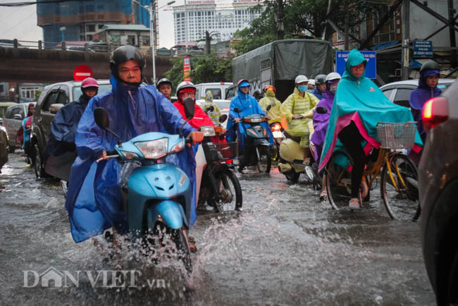 ha noi sang nay: lai kho vi mua - ngap - tac hinh anh 3