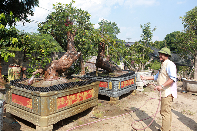 cap “tien dong ngoc nu” gia tien ty cua ong “vua” mai vang yen tu hinh anh 2