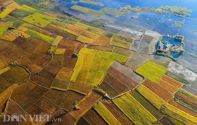 chiem nguong canh dong lua dep nhat nhi tay nguyen tu tren cao hinh anh 1