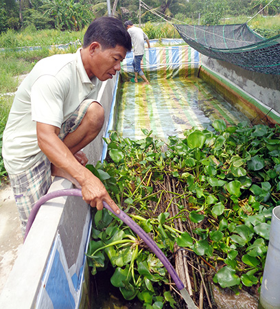 Thành công với mô hình nuôi lươn không bùn  Báo Dân tộc và Phát triển