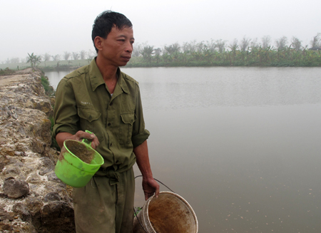 Những giải pháp đào ao thả cá đầu tư thấp