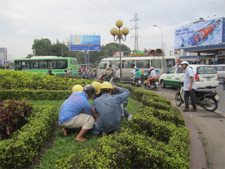 Các công nhân điện lực khống chế nam thanh niên 