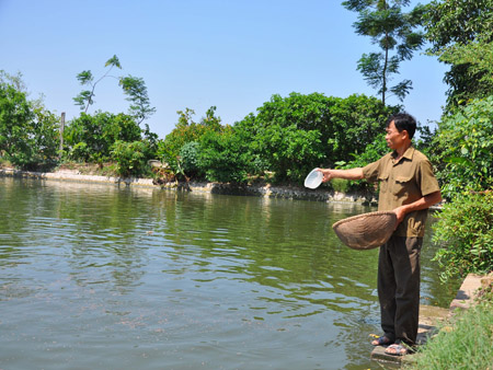 Ông Nguyễn Xuân Thu  (thôn Đổng Lâm, xã Quỳnh Phú, Gia Bình, Bắc Ninh)  ND xuất sắc năm 2013. 