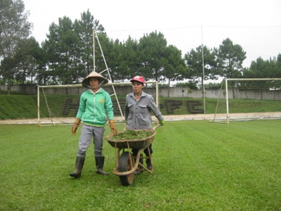 Các nhân viên của Công ty cổ phần thể thao HAGL làm việc gần như không ngơi tay để cắt cỏ, làm sạch mặt cỏ.