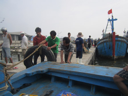 Ngư dân đang neo đậu tàu thuyền tại Âu thuyền Thọ Quang