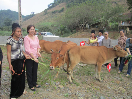 Đại diện Báo NTNN (thứ 2 từ trái) trao bò, quà và tiền hỗ trợ làm chuồng nuôi bò cho các hộ nghèo ở Tà Ẻn ngày 13.10.