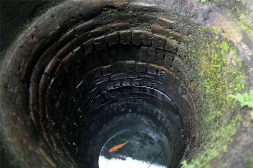 Nước giếng ngõ Hàng Chỉ vẫn được dùng trong các sinh hoạt của các hộ xung quanh. Dưới giếng có nuôi cá để khi nước ô nhiễm cá chết người dân sẽ lau giếng. Hiện cạnh giếng là quán cà phê Giếng cổ.
