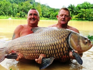 Con cá chép nặng 60kg do ông Keith Williams (trái) bắt được.