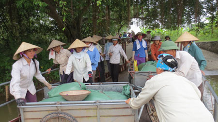 Ngày mùa, người dân xếp hàng chờ qua đò.