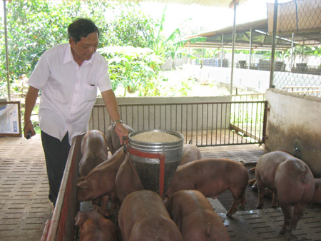 Ông  Nguyễn Hữu Lợi luôn dành thời  gian nghiên cứu về các loại thức ăn chăn nuôi.