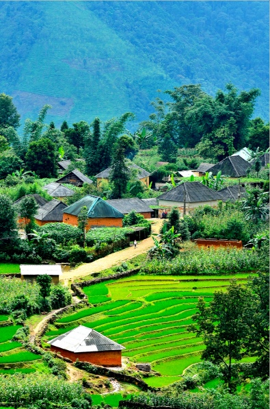 Bản làng của đồng bào dân tộc Hà Nhì ở Ý Tý, Lào Cai.