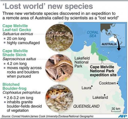Hình ảnh ba loài có xương sống mới được phát hiện ở Úc.