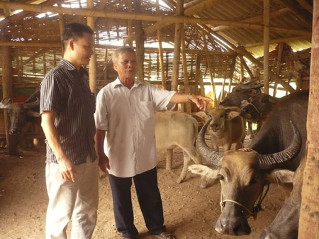 Anh Dũng (trái) thăm khu chăn nuôi của gia đình hội viên Nguyễn Văn Báu