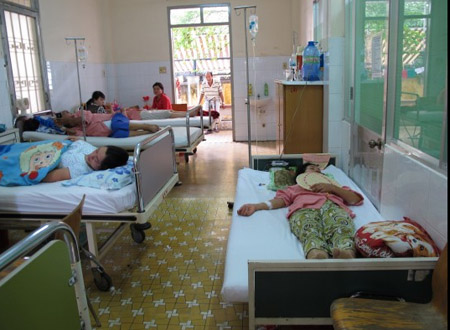 Với muỗi niễm Wolbachia hy vọng sẽ giảm đáng kể dịch sốt xuất huyết ở Việt Nam