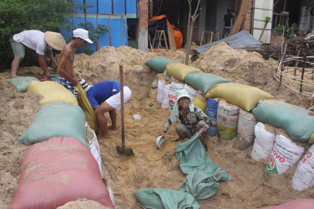 Người dân xã Bình Minh (Quảng Nam) đào đất làm hầm tránh bão Haiyan.