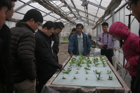 Mô hình thử nghiệm trồng rau thủy canh của Trường Cao đẳng Hokkaido. 