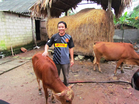 Hội viên Nguyễn Minh Thái  mua bò từ Quỹ Hỗ trợ ND nghèo của Hội ND hỗ trợ.