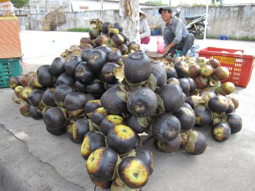 Trái thốt nốt được bày bán bên vệ đường.