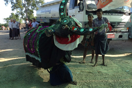 Người dân Myanmar múa trâu mừng sự có mặt của phân bón Đầu trâu – Bình Điền.