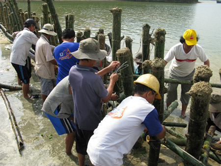 Người dân tham gia làm bờ kè.