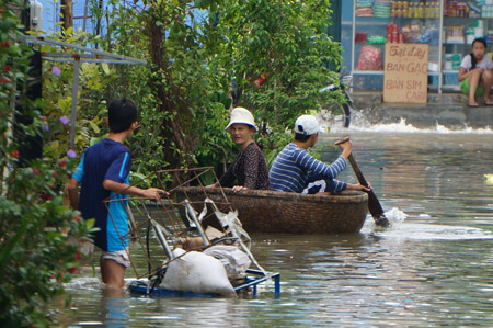 Người dân phường Phước Hòa đoạn gần đường Huỳnh Phúc Kháng, TP Tam Kỳ, bì bõm trong nước, người lớn, trẻ em phải đi bằng thúng chai