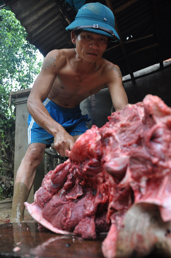 Những người nông dân thường ngày cầm cuốc làm ruộng, giờ phải cầm dao xẻ thịt bò bán đổ bán tháo tài sản gần như lớn nhất của họ