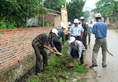 Làm vệ sinh, diệt muỗi để chống sốt xuất huyết.