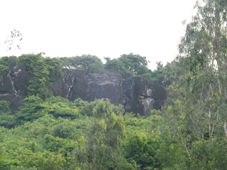Dưới tảng đá đen được bao vây bởi cây rừng chính là hang Hổ.
