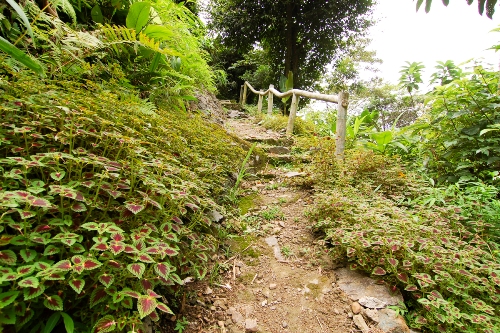 Con đường mòn quanh cửu thác Tú Sơn rất thích hợp với các chuyến trekking cuối tuần.