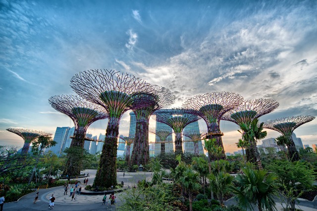 Rừng cây nhân tạo khổng lồ tại Quốc đảo Singapore.