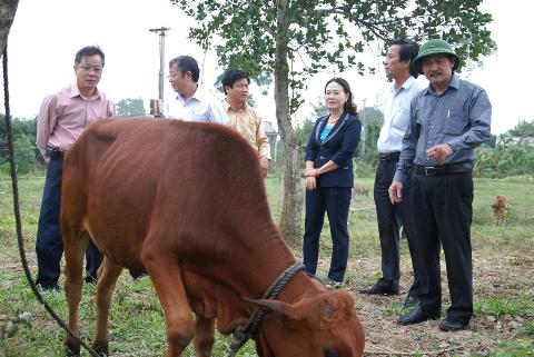 Lãnh đạo tỉnh Quảng Trị kiểm tra, động viên bà con chủ động phòng chống dịch bệnh gia súc