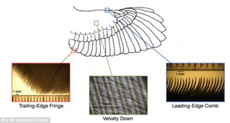   Các nhà khoa học đã tìm ra lời giải những bí ẩn đằng sau bộ cánh của chim cú khiến loài chim này có thể bay một cách “im lặng”. Họ tin rằng nghiên cứu này sẽ có ích trong chế tạo công nghệ giúp máy bay, tua bin gió và tàu ngầm hoạt động êm hơn và tàng hình tốt hơn. 