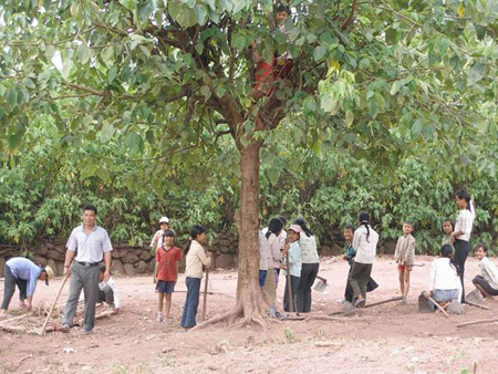 Học sinh Trường Tiểu học Tân Phong (Si Pa Phìn) trong  giờ lao động