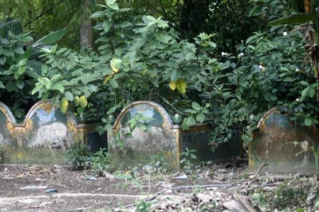 Tiểu nghĩa địa heo nằm riêng một góc phía sau chùa Dơi.