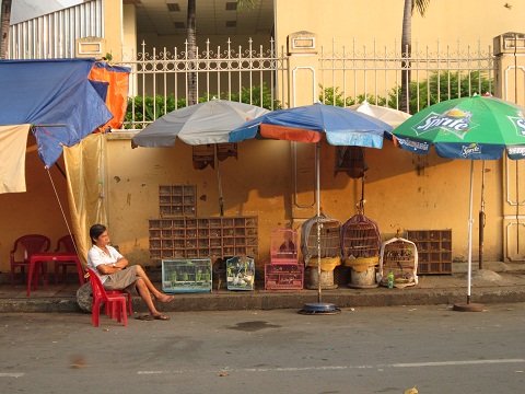 Dân chơi chim cũng tụ họp buôn bán, trao đổi, chia sẻ kinh nghiệm.