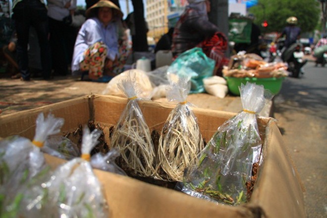 Góc phố nhỏ chuyên bán sâu bọ, cào cào, châu chấu... bên hông Thuận Kiều Plaza (đường Hồng Bàng, Q.5.