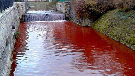 Dòng sông máu chảy qua ngôi làng 