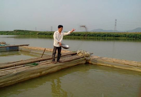 Hiện Nguyễn Minh Đăng có 10 lồng nuôi cá trên sông Bứa.