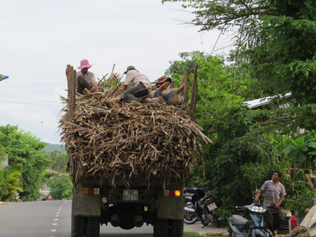 Một xe tải chở mía đang “khủng bố” trên tuyến Tuy An – Đồng Xuân (Phú Yên),  thợ chặt mía nằm chông chênh trên đụn mía.