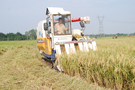 Máy siêu gặt của anh  Nguyễn Thành Trung phát huy hiệu quả trên cánh đồng Đức Thọ.