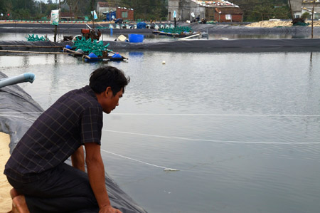 Anh Ngô Đình Tư (35 tuổi, trú thôn Hà Quang, xã Tam Tiến), bên ao nuôi tôm phương pháp lót bạt trái phép của mình.