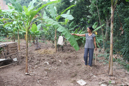 Vợ ông Trần Trọng Dũng (thôn 8, xã An Ninh) phản ánh việc thôn đẩy ruộng về vườn...